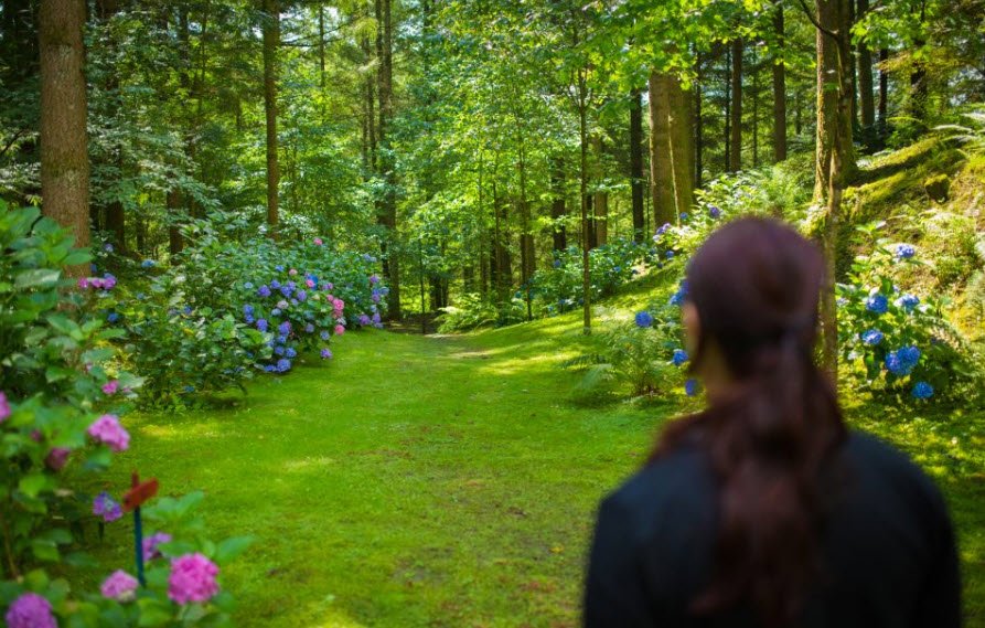 Parc à l'anglaise La Cude, Mailleroncourt-Charette, France, France